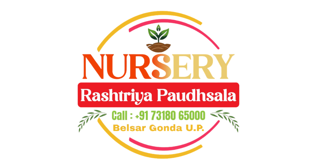 nurseryrashtriyapaudhshala